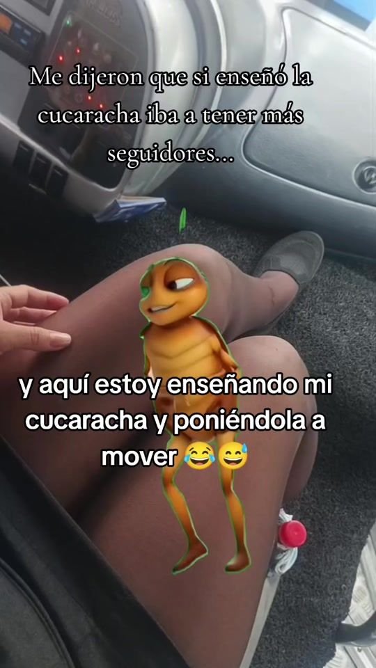 TikTok video thumbnail by srt.solorzano