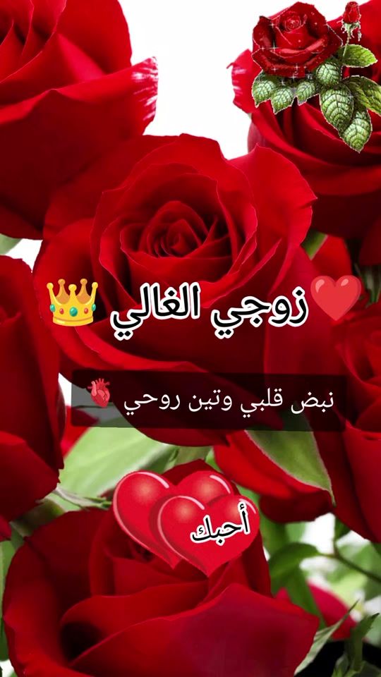 TikTok video thumbnail by fifth3462
