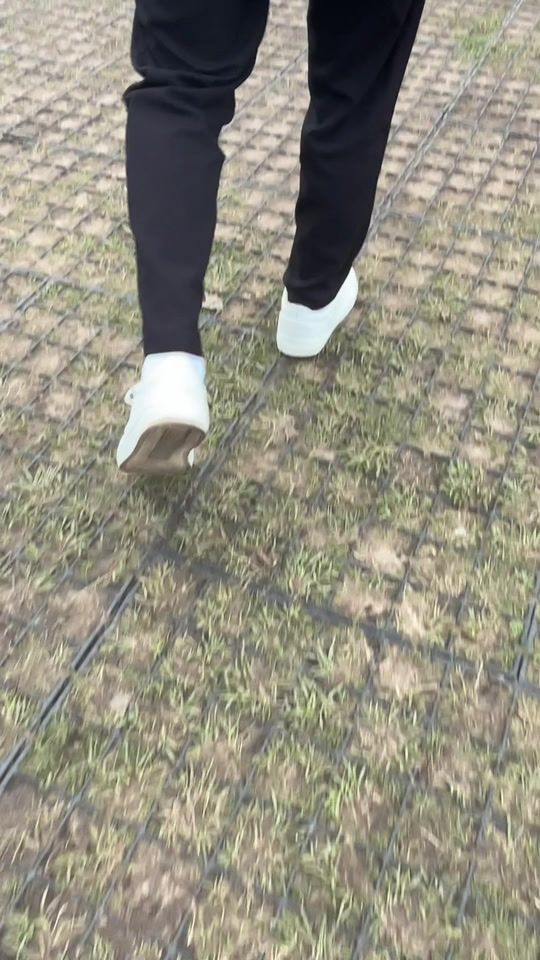 TikTok video thumbnail by ronalt15