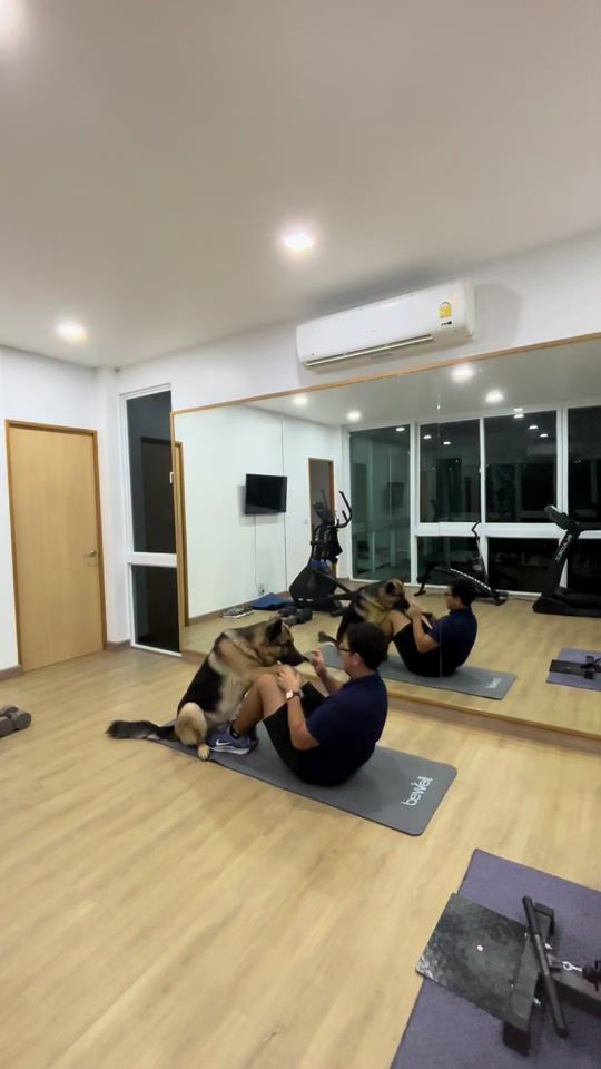 TikTok video thumbnail by copter.t.family