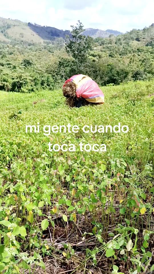 TikTok video thumbnail by el_invencible1