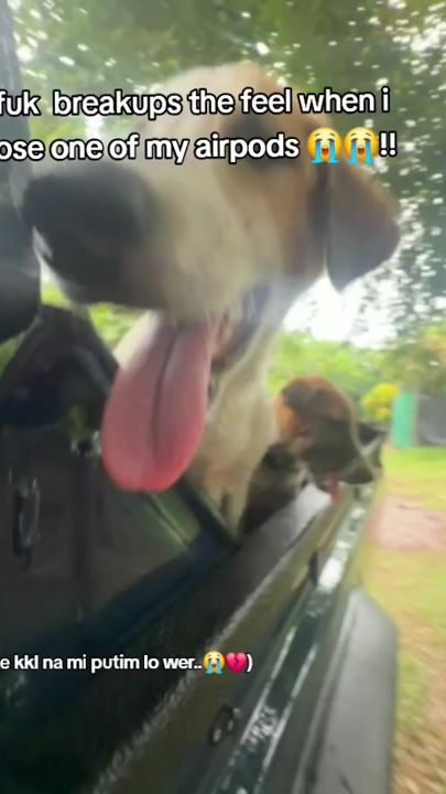 TikTok video thumbnail by sha.andree