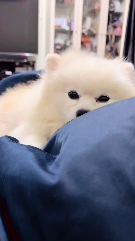 TikTok video thumbnail by khawmai
