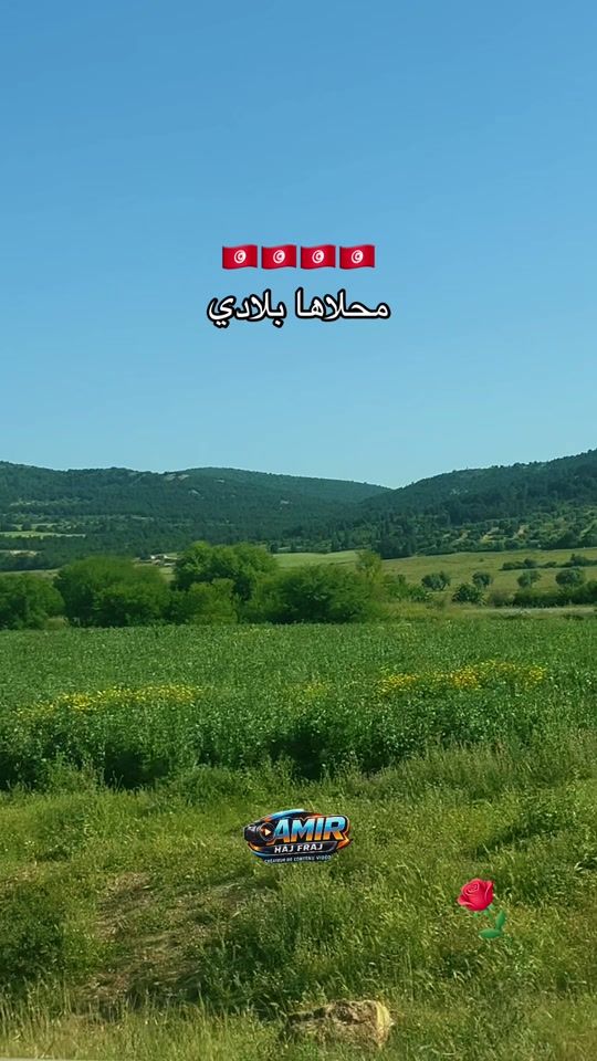 TikTok video thumbnail by photographey.amir.h.f