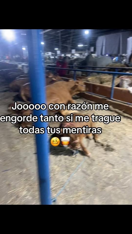 TikTok video thumbnail by fergie_zareth