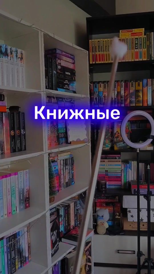 TikTok video thumbnail by book._.dina
