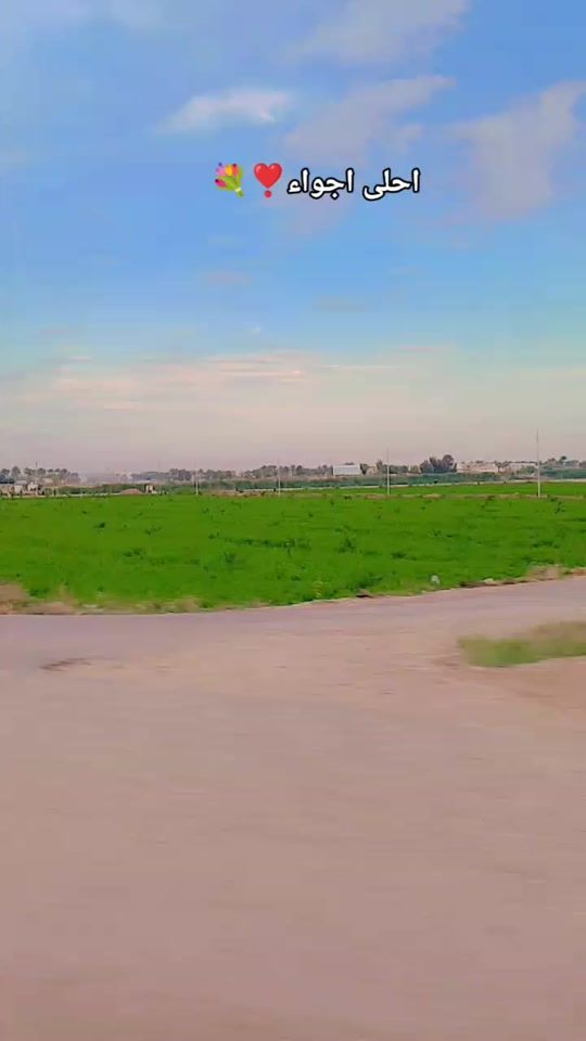 TikTok video thumbnail by zz_19955