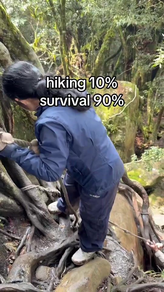 TikTok video thumbnail by zzepphhh