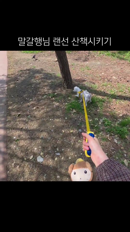 TikTok video thumbnail by real._.bread_