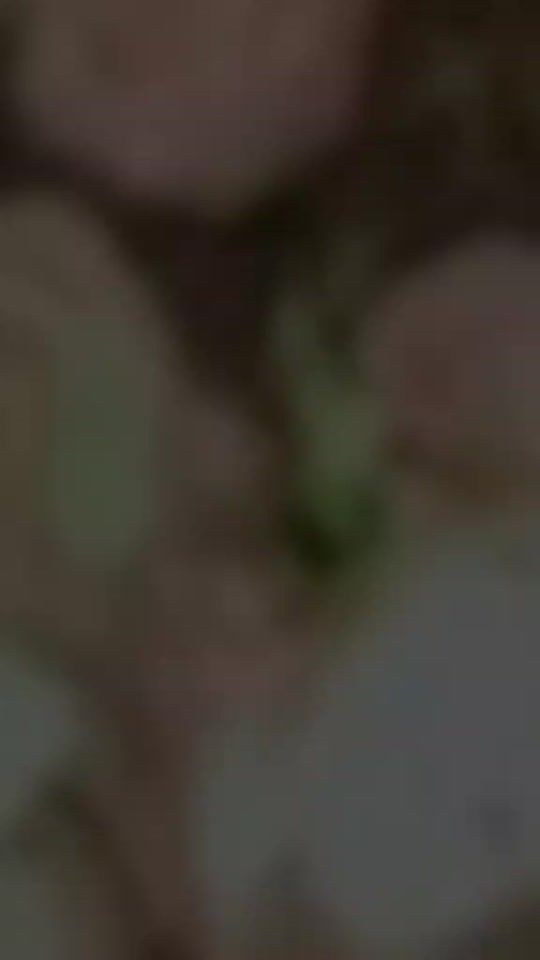 TikTok video thumbnail by mrs.farhan2015