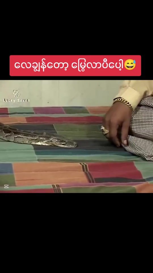 TikTok video thumbnail by uthurmknpaj