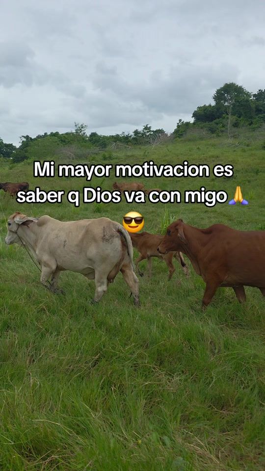 TikTok video thumbnail by praga_17