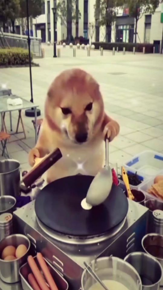 TikTok video thumbnail by galletita.con.manjar_