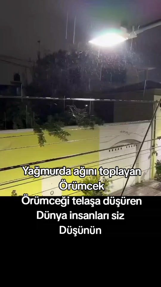 TikTok video thumbnail by selmazeliha
