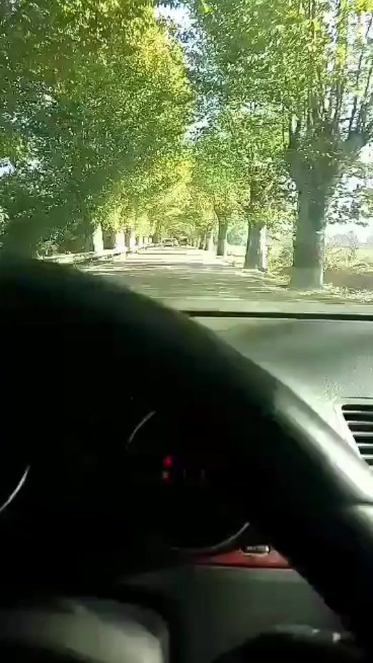 TikTok video thumbnail by bejauia06