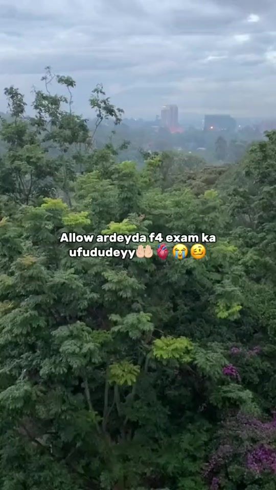 TikTok video thumbnail by queen______sacdiyo