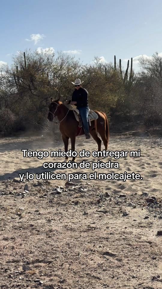 TikTok video thumbnail by irving_cota