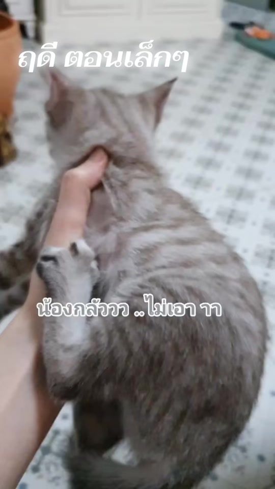TikTok video thumbnail by irin_hwang