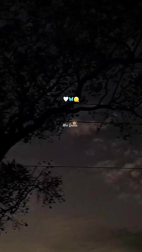 TikTok video thumbnail by mrs.queen5669