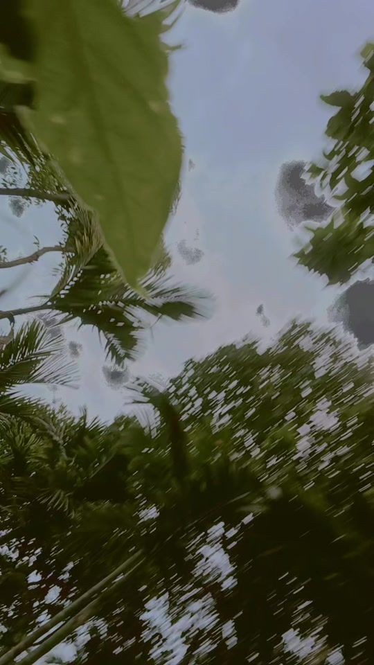 TikTok video thumbnail by user676956