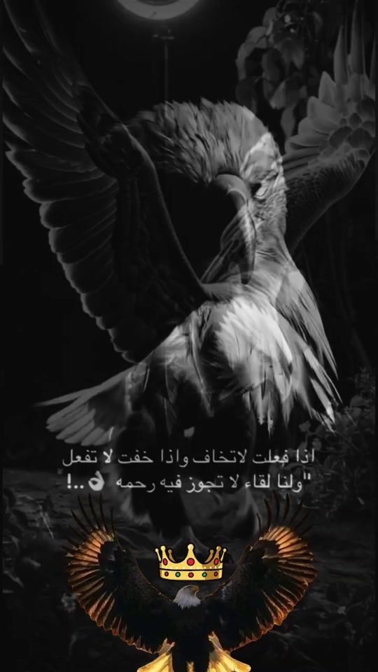 TikTok video thumbnail by ahmed333adel