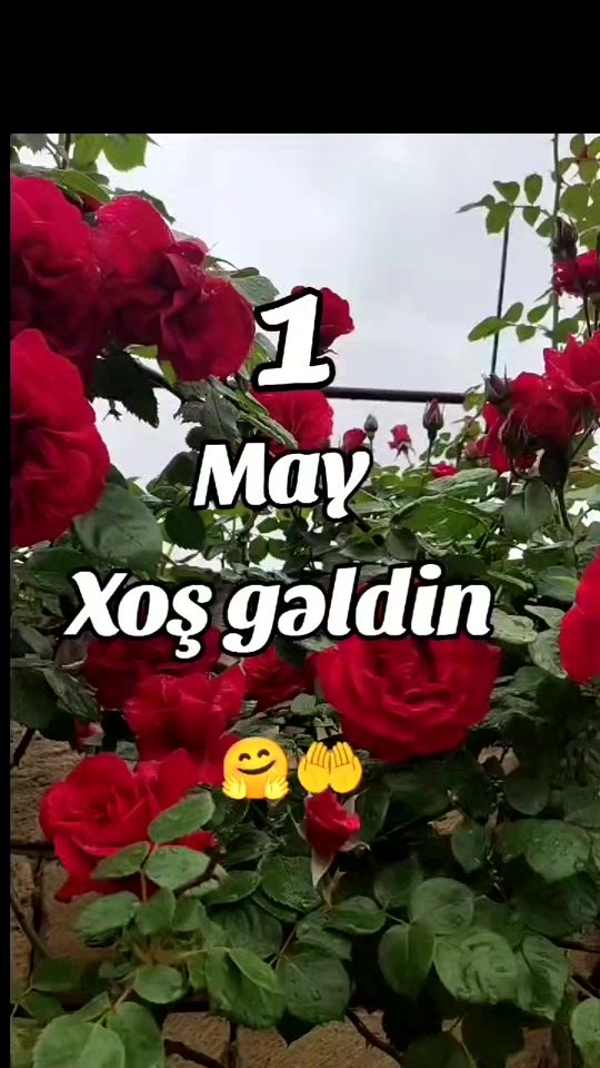 TikTok video thumbnail by _deniz_hobim_