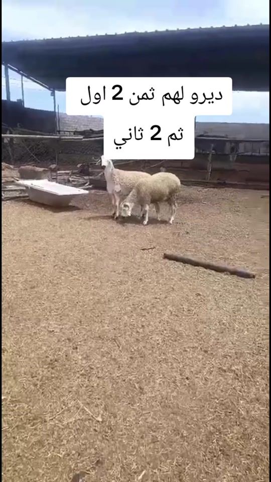 TikTok video thumbnail by servicenour1