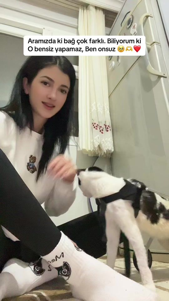 TikTok video thumbnail by semihaerdm
