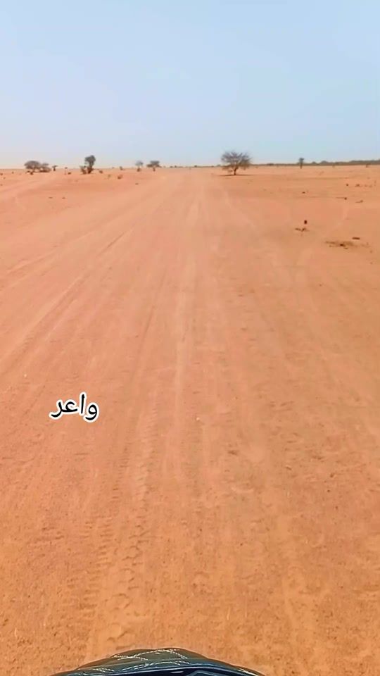 TikTok video thumbnail by abufariha04