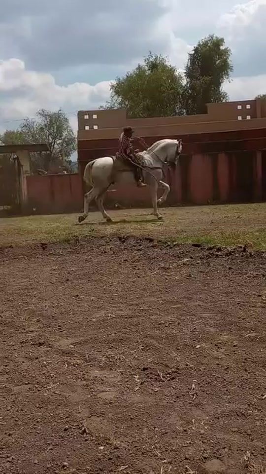 TikTok video thumbnail by agus_24344