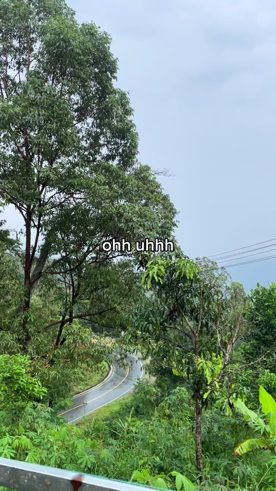 TikTok video thumbnail by allagua