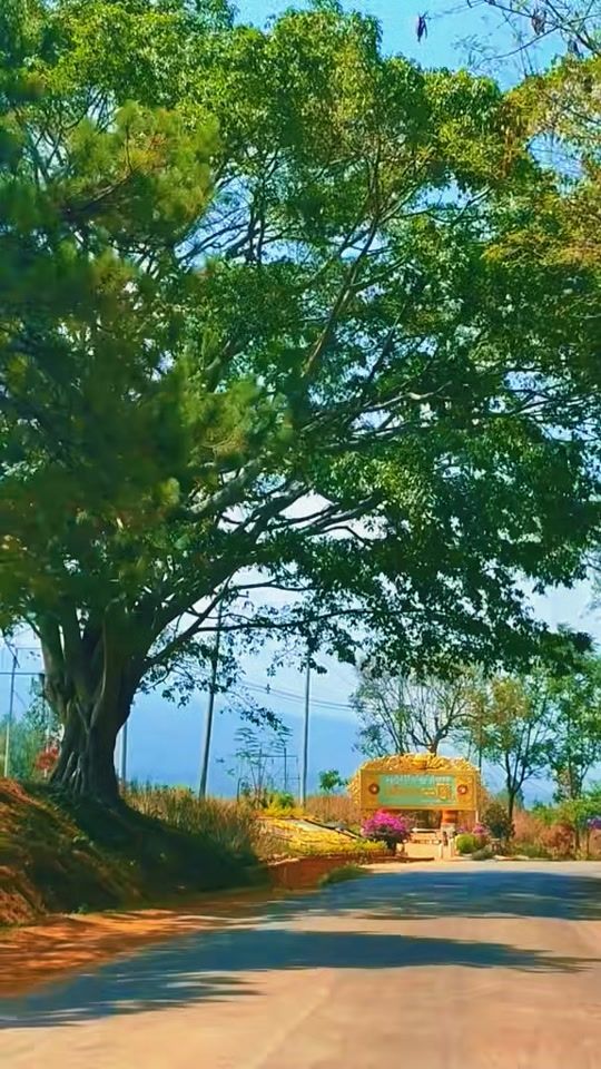 TikTok video thumbnail by venerablerevata49