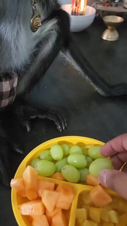 TikTok video thumbnail by dm504h2