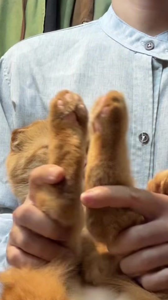 TikTok video thumbnail by azalea_coffee