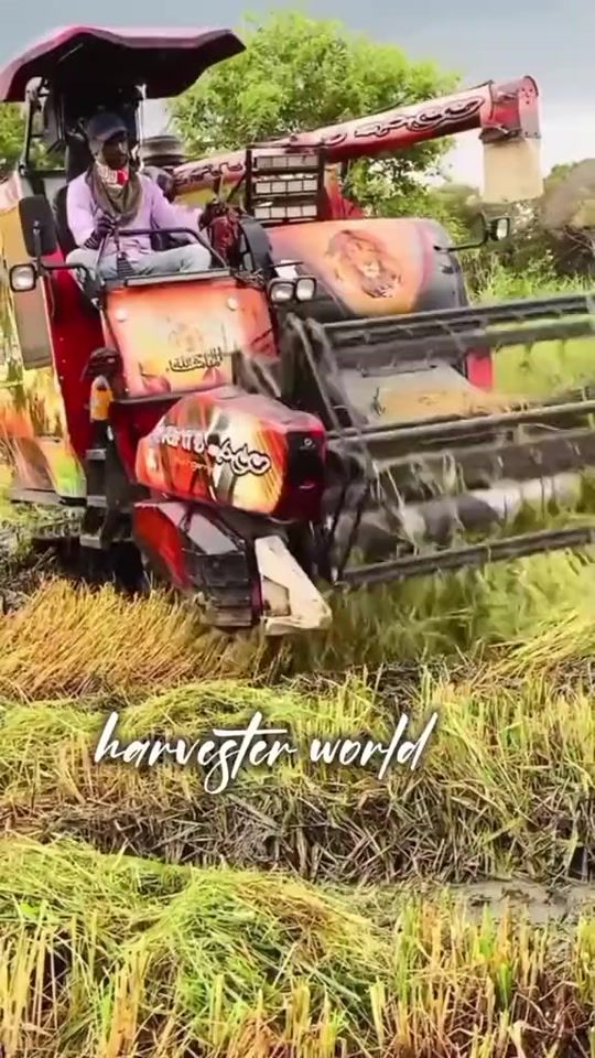 TikTok video thumbnail by _harvester_world