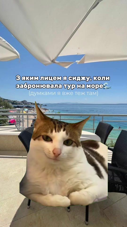 TikTok video thumbnail by bomba_tour
