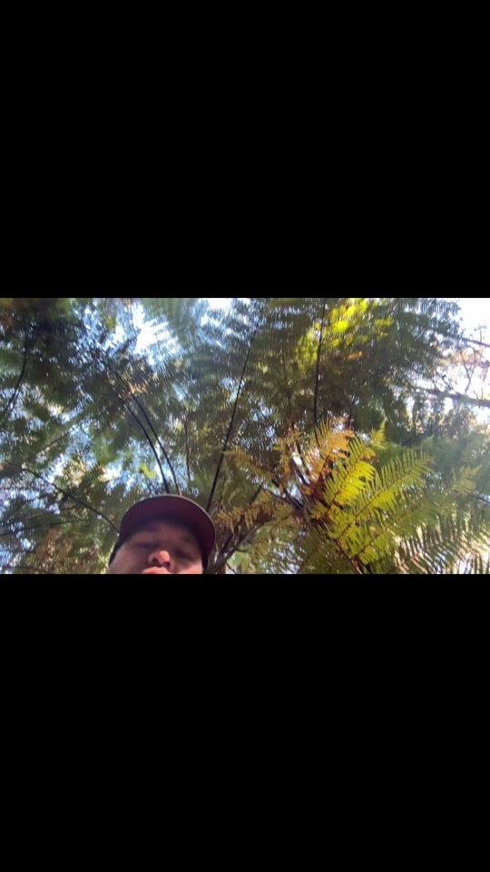 TikTok video thumbnail by ra_thehunter