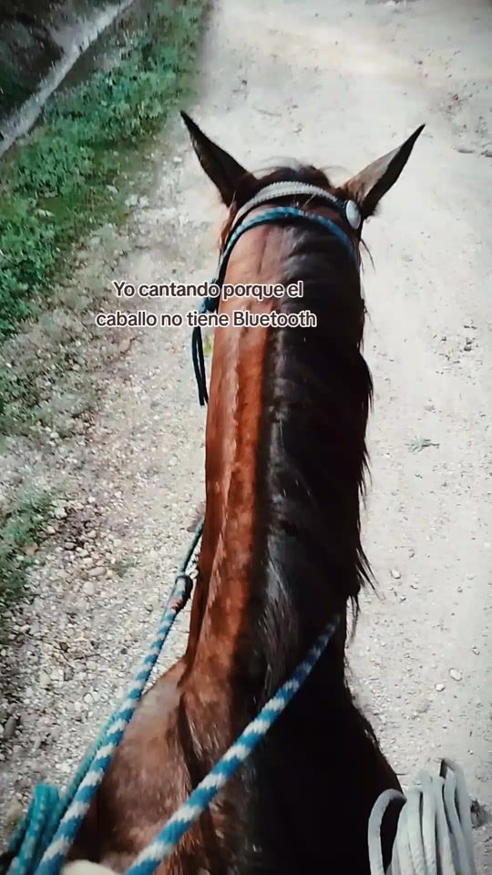 TikTok video thumbnail by yurismzz