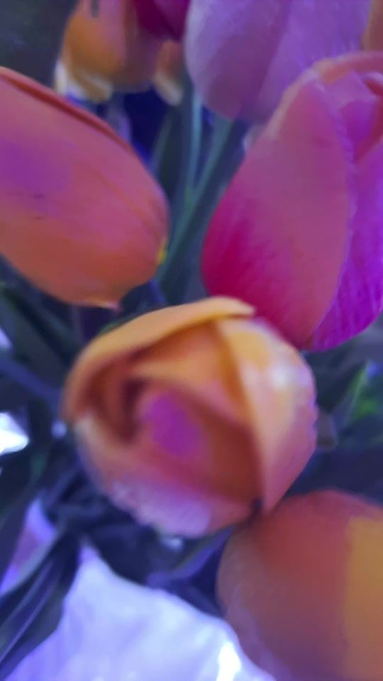 TikTok video thumbnail by mounbadsamounbads