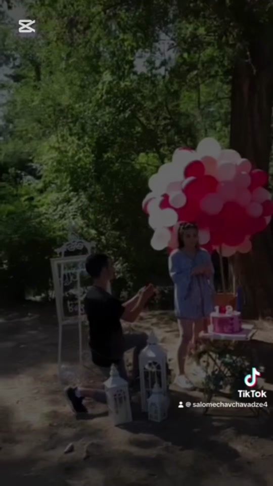 TikTok video thumbnail by salomechavchavadze4