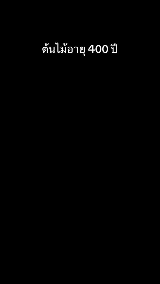 TikTok video thumbnail by sine_madamefin