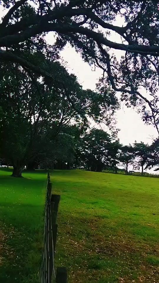 TikTok video thumbnail by wify38sunil2