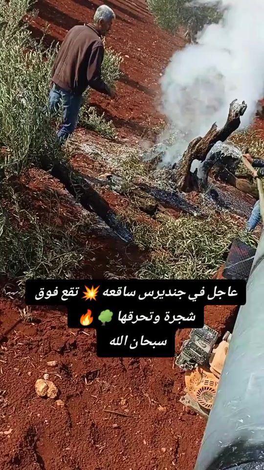 TikTok video thumbnail by dypw1111