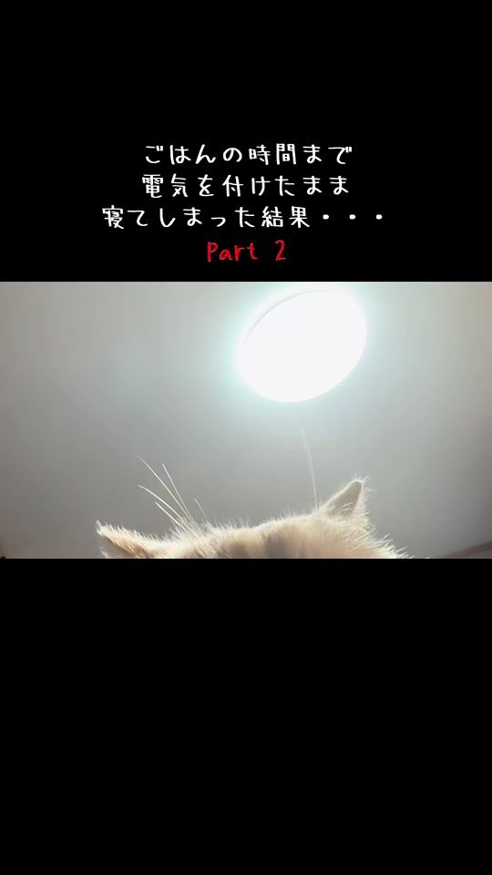 TikTok video thumbnail by jjbwb082