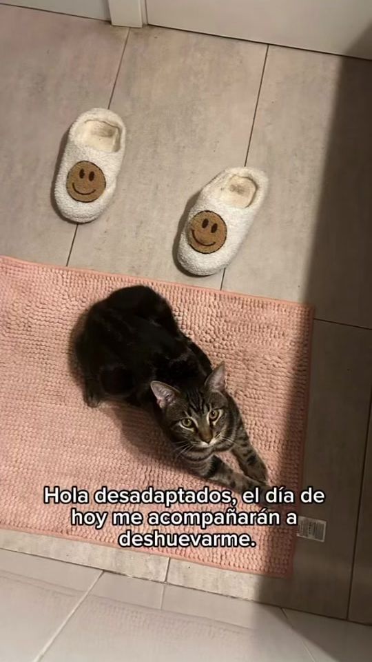 TikTok video thumbnail by majoopaezz