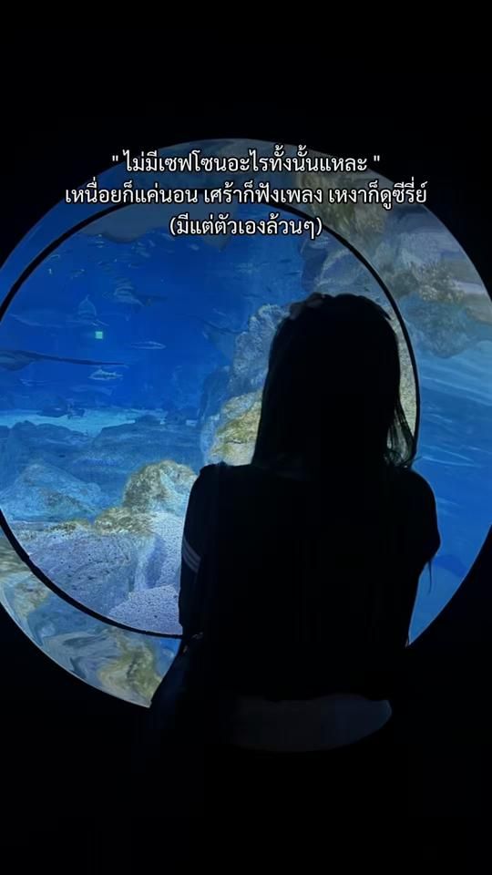 TikTok video thumbnail by maypun.17