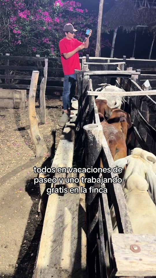 TikTok video thumbnail by camilo_cerpav