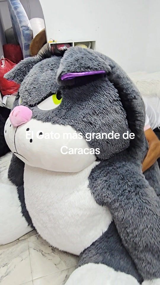 TikTok video thumbnail by cosas.tin