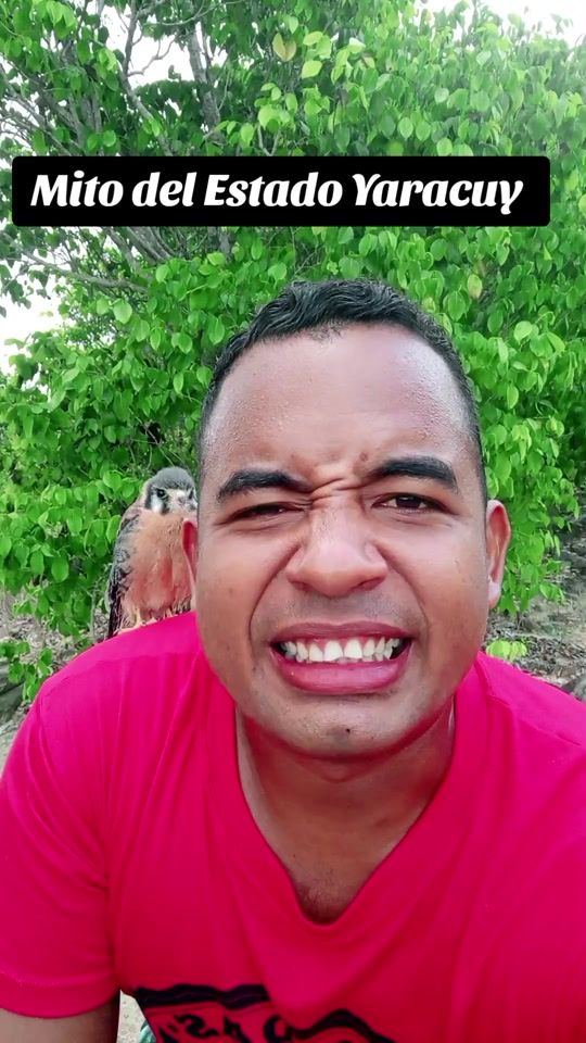 TikTok video thumbnail by douglasmfr