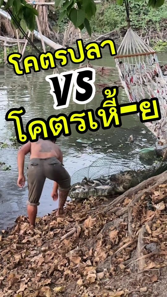 TikTok video thumbnail by anan_psl